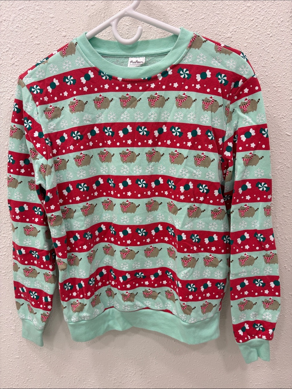 Pusheen Mint Green & Red Christmas Holiday Crewneck oversized Sweater